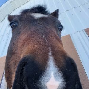 Meet your Posher, Flo